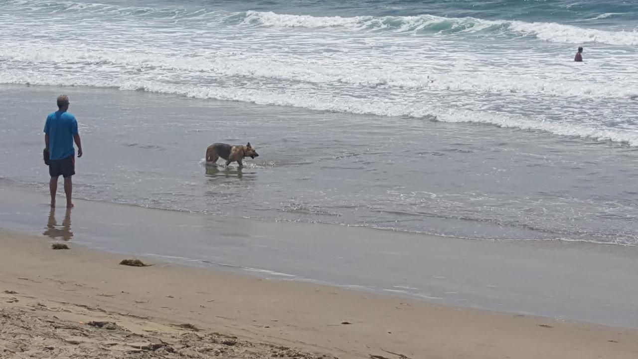 אנסנאדה Playa Hermosa Inn At The Beach מראה חיצוני תמונה